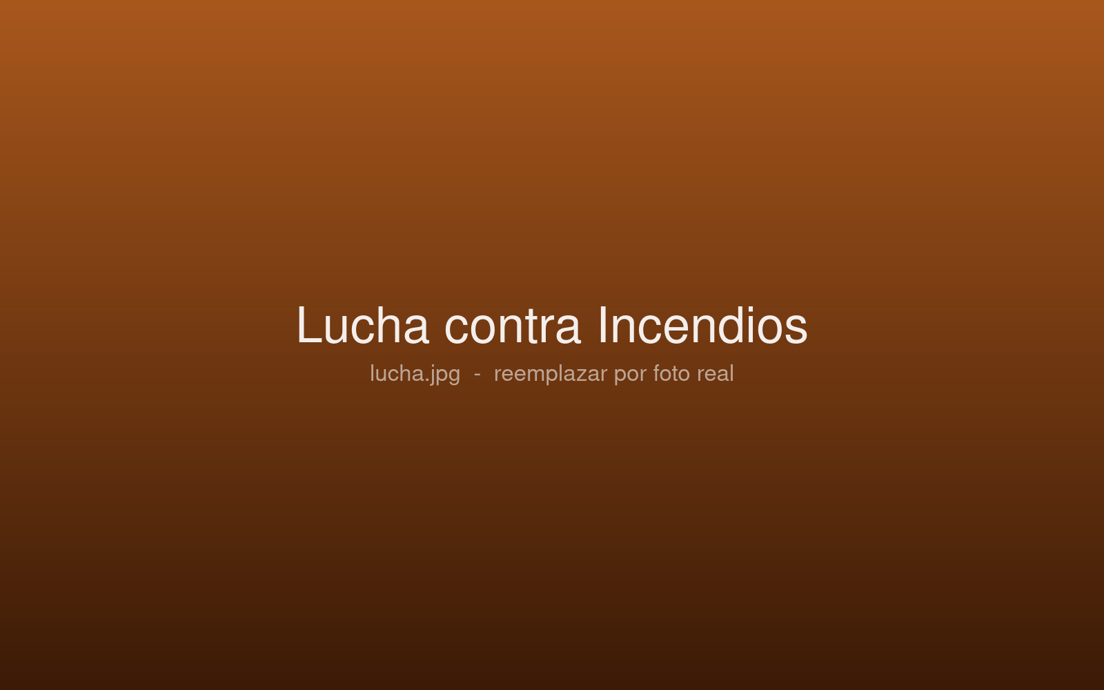 Lucha contra Incendios
