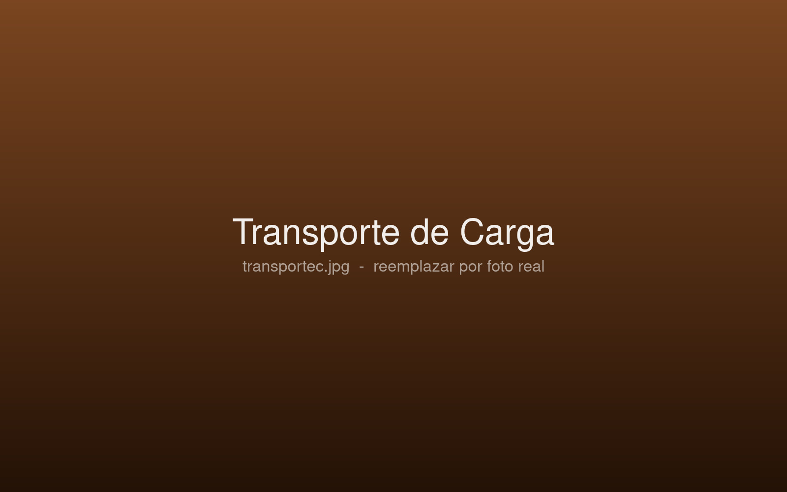 Transporte de carga